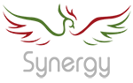 cropped-LogoSynergy-text-gray150px.png